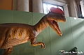 VBS_0940 - Dinosauri. Terra dei giganti